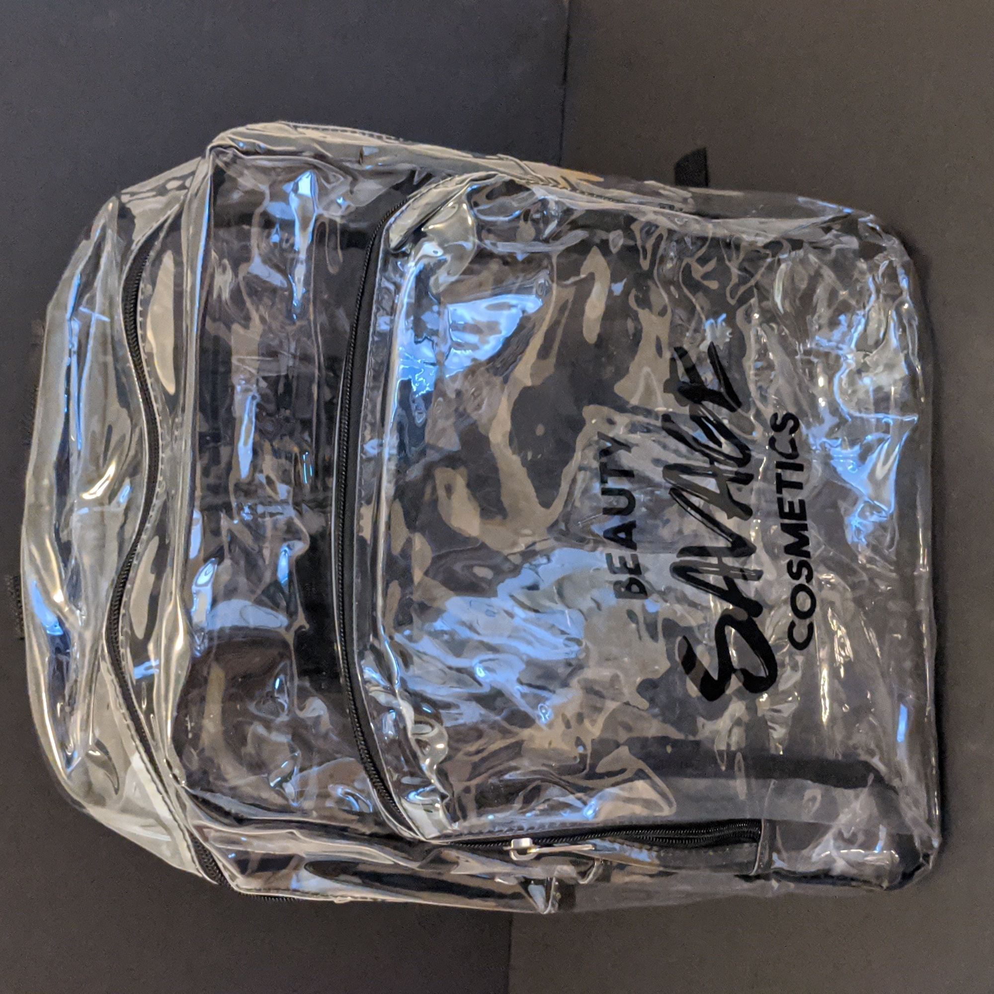 Transparent Backpack
